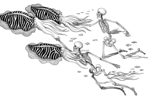 seiches-squelettes-fini